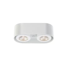Nymark 2 Light 5" Wide LED Flush Mount Linear Ceiling Fixture with Adjustable Lights