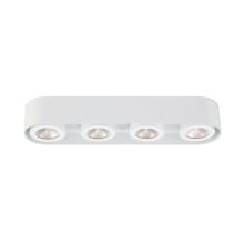 Nymark 4 Light 5" Wide LED Flush Mount Linear Ceiling Fixture with Adjustable Lights