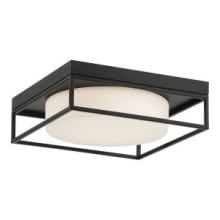 Rover 12" Wide LED Flush Mount Ceiling Fixture