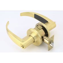 Quantum Lever with Interchangeable Core for  Schlage Units from the T Collection