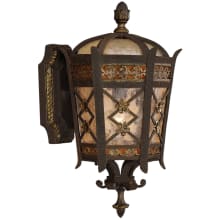 Chateau Outdoor Single-Light Outdoor Wall Sconce with Gold Accents and Antiqued Glass
