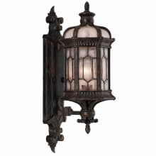 Devonshire Single Light 23" High Outdoor Wall Sconce with Seedy Glass Shade