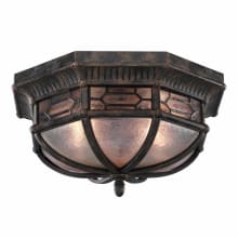 Devonshire 2 Light 16" Wide Outdoor Flush Mount Ceiling Fixture with Seedy Glass Shade