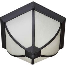 Energy Efficient Transitional Outdoor Ceiling Fixture
