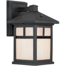 Single Light 11" Tall Outdoor Wall Sconce with Frosted Seeded Glass Panels
