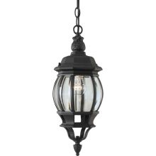 Outdoor Pendant from the Exterior Lighting Collection