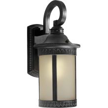 Single Light 16" Tall Outdoor Wall Sconce with Frosted Seeded Glass Panels