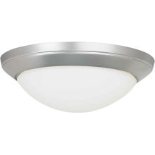 Functional Flushmount Ceiling Fixture from the Close to Ceiling Collection