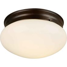 2 Light 9-1/2" Wide Indoor Flush Mount Ceiling Fixture with Opal Glass Shade