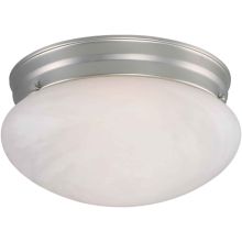 Functional Flushmount Ceiling Fixture