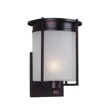 Single Light 9-3/4" High Outdoor Wall Sconce
