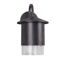 Single Light 13-1/2" High Outdoor Wall Sconce