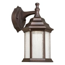 Single Light 12" Tall LED Outdoor Wall Sconce