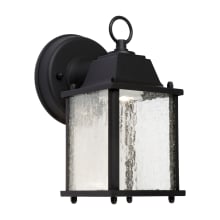 Single Light 9" Tall LED Outdoor Wall Sconce with Clear Seeded Glass Panels