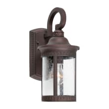 Single Light 14" Tall Outdoor Wall Sconce with Clear Seeded Glass Panels