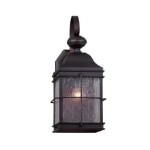 Single Light 16-1/2" High Outdoor Wall Sconce