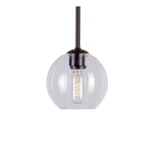 Single Light 6-3/4" Wide Mini Pendant