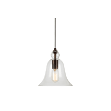 Single Light 8" Wide Mini Pendant with Clear Glass Shade