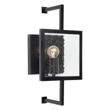 Single Light 15" Tall Wall Sconce with Clear Seedy Glass Panel