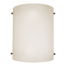 2 Light 10" Tall Wall Sconce with White Mist Glass Shade