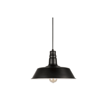 Single Light 14" Wide Pendant with Metal Shade