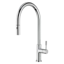 Kitchen 1.8 GPM Single Hole Pull Down Kitchen Faucet - Includes Escutcheon
