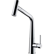 Icon 1.75 GPM Single Hole Pull Out Kitchen Faucet