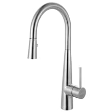 Steel 1.75 GPM Single Hole Pull Down Kitchen Faucet
