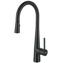 Steel 1.75 GPM Single Hole Pull Down Kitchen Faucet