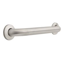 Centurion Series 1- 1/2 x 16 Inch Concealed Mount Grab Bar