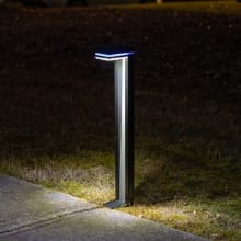 3. 2V LED Side Mount Path Light -Set of 2