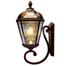 Royal Bulb 21" Tall LED Outdoor Wall Sconce