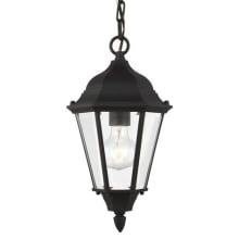Bakersville 8" Wide Outdoor Mini Pendant with Frosted Glass