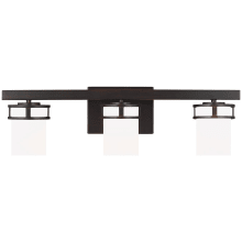 Robie 3 Light 24" Wide LED Vanity Light