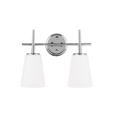 Driscoll 2 Light 16" Wide LED Vanity Light