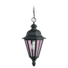 Brentwood 10" Wide Outdoor Pendant with Clear Glass