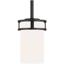 Robie 4" Wide LED Mini Pendant
