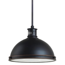 Pratt Street 2 Light 13" Wide LED Pendant