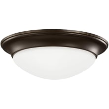 Nash 2 Light 14" Wide Flush Mount Bowl Ceiling Fixture