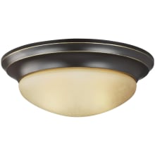 Nash 2 Light 14" Wide Flush Mount Bowl Ceiling Fixture with Amber Scavo Glass