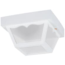 2 Light 10" Wide LED Outdoor Flush Mount Lantern Ceiling Fixture