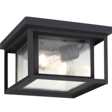 Hunnington 2 Light 10" Wide Outdoor Flush Mount Square Ceiling Fixture with Seedy Glass