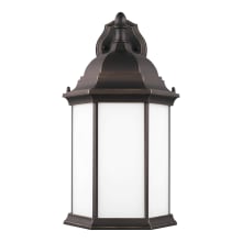 Sevier 19" Tall Outdoor Wall Sconce with Frosted Glass Shade