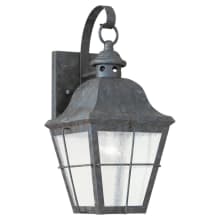 Chatham 15" Tall Outdoor Wall Sconce with Clear Seedy Glass