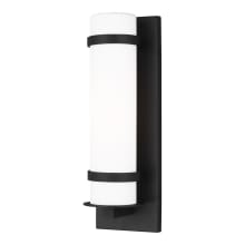 Alban 14" Tall Outdoor Wall Sconce - Cylindrical