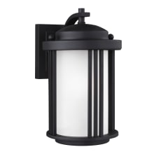 Crowell 10" Tall LED Outdoor Wall Sconce - Dark Sky Compliant