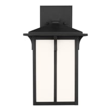 Tomek 11" Tall Outdoor Wall Sconce