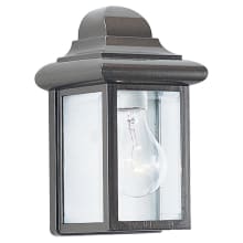 Mullberry Hill 9" Tall Outdoor Wall Sconce with Clear Glass