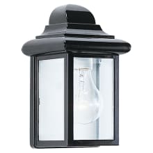 Mullberry Hill 9" Tall Outdoor Wall Sconce with Clear Glass