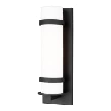 Alban 18" Tall Outdoor Wall Sconce - Cylindrical